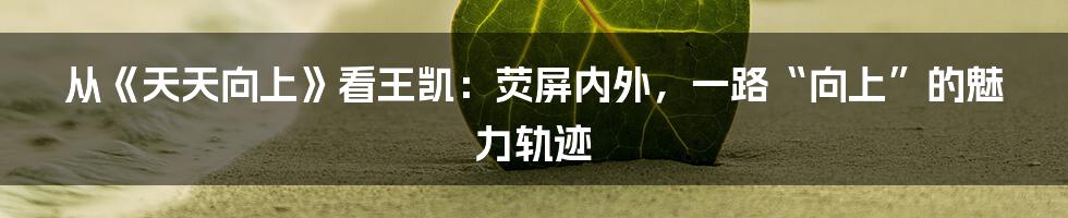 从《天天向上》看王凯：荧屏内外，一路“向上”的魅力轨迹