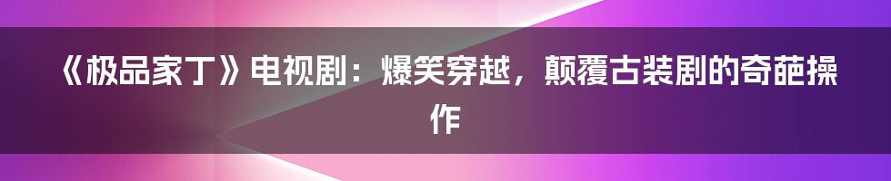 《极品家丁》电视剧：爆笑穿越，颠覆古装剧的奇葩操作