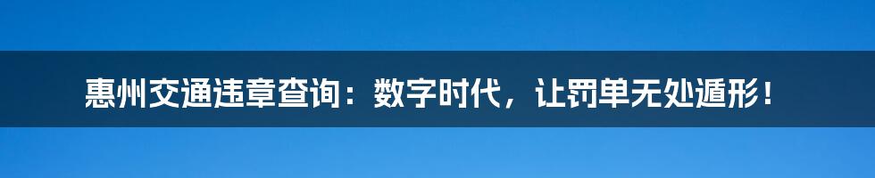 惠州交通违章查询：数字时代，让罚单无处遁形！