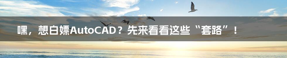 嘿，想白嫖AutoCAD？先来看看这些“套路”！