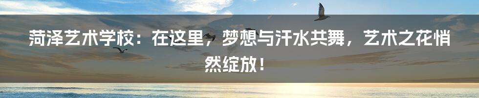 菏泽艺术学校：在这里，梦想与汗水共舞，艺术之花悄然绽放！