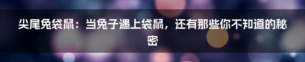 尖尾兔袋鼠：当兔子遇上袋鼠，还有那些你不知道的秘密