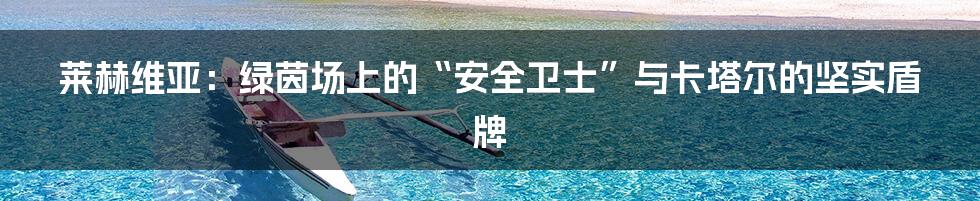 莱赫维亚：绿茵场上的“安全卫士”与卡塔尔的坚实盾牌