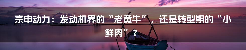 宗申动力：发动机界的“老黄牛”，还是转型期的“小鲜肉”？