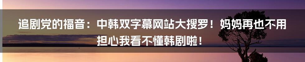 追剧党的福音：中韩双字幕网站大搜罗！妈妈再也不用担心我看不懂韩剧啦！
