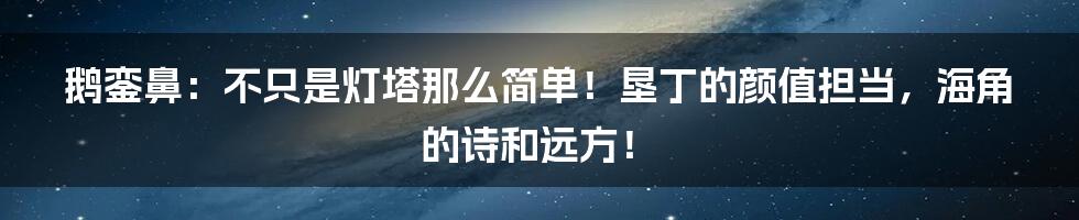 鹅銮鼻：不只是灯塔那么简单！垦丁的颜值担当，海角的诗和远方！