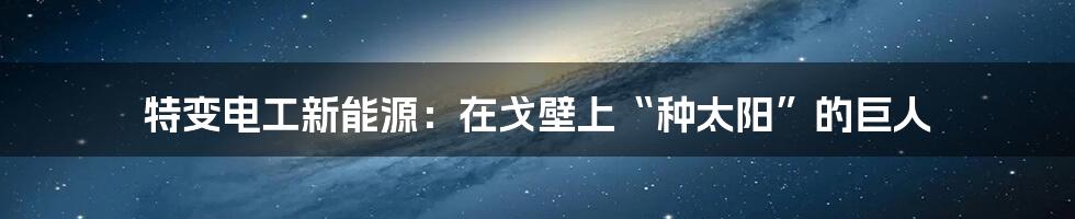 特变电工新能源：在戈壁上“种太阳”的巨人