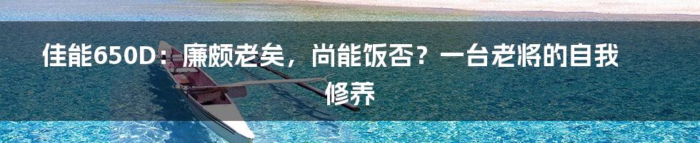 佳能650D：廉颇老矣，尚能饭否？一台老将的自我修养