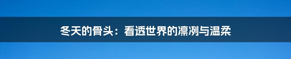 冬天的骨头：看透世界的凛冽与温柔