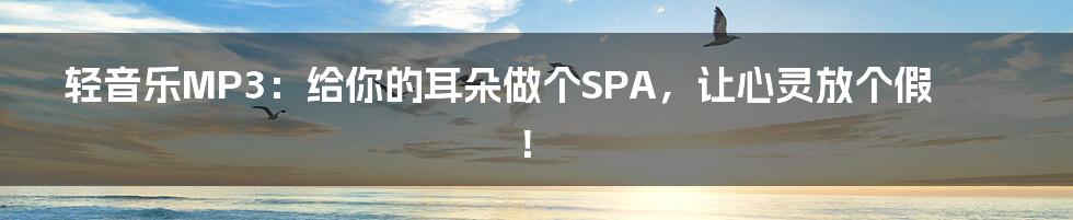 轻音乐MP3：给你的耳朵做个SPA，让心灵放个假！
