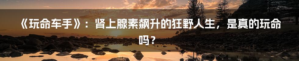 《玩命车手》：肾上腺素飙升的狂野人生，是真的玩命吗？