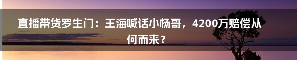 直播带货罗生门：王海喊话小杨哥，4200万赔偿从何而来？