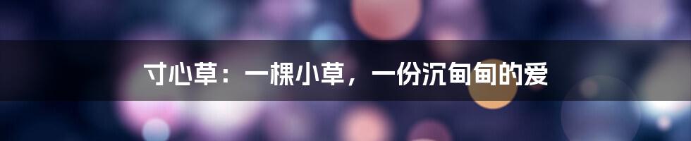 寸心草：一棵小草，一份沉甸甸的爱