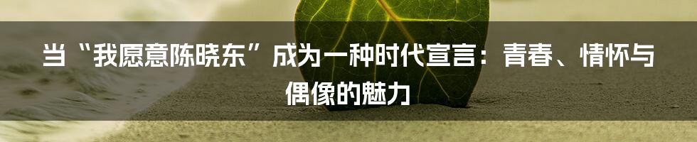 当“我愿意陈晓东”成为一种时代宣言：青春、情怀与偶像的魅力