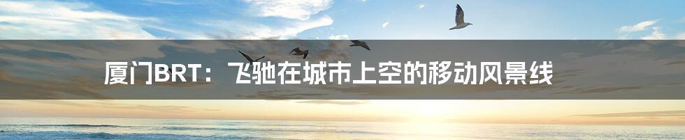 厦门BRT：飞驰在城市上空的移动风景线