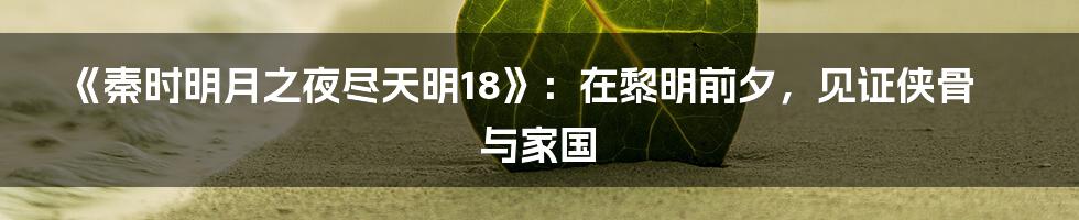 《秦时明月之夜尽天明18》：在黎明前夕，见证侠骨与家国