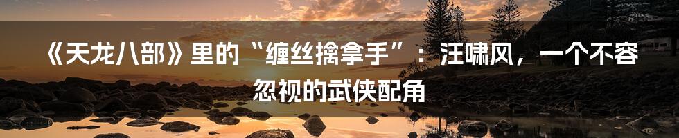 《天龙八部》里的“缠丝擒拿手”：汪啸风，一个不容忽视的武侠配角