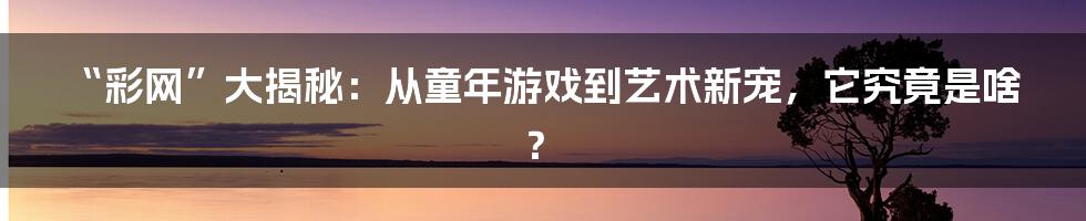 “彩网”大揭秘：从童年游戏到艺术新宠，它究竟是啥？