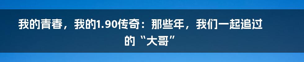 我的青春，我的1.90传奇：那些年，我们一起追过的“大哥”