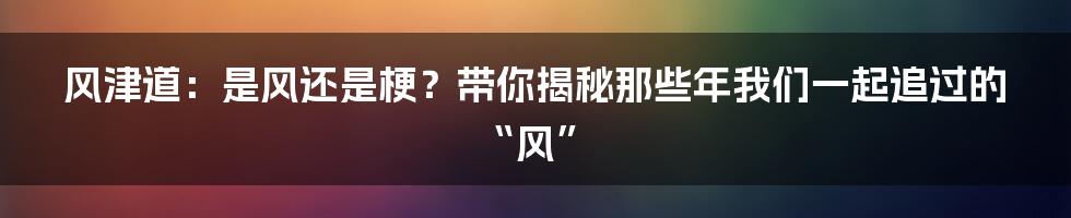 风津道：是风还是梗？带你揭秘那些年我们一起追过的“风”