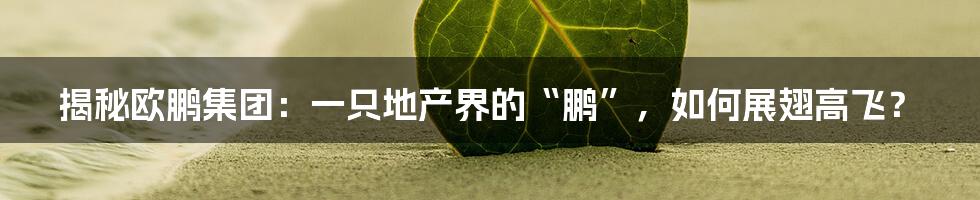 揭秘欧鹏集团：一只地产界的“鹏”，如何展翅高飞？