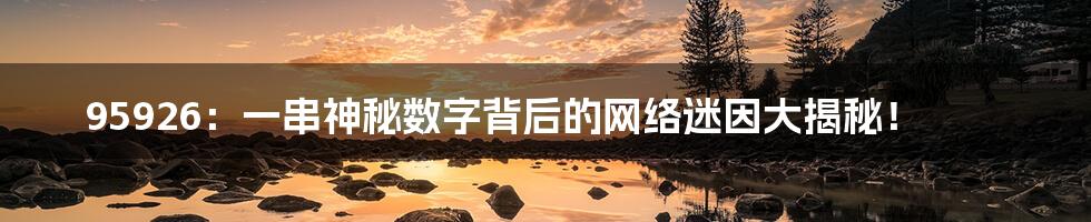 95926：一串神秘数字背后的网络迷因大揭秘！