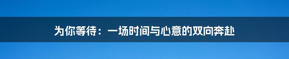 为你等待：一场时间与心意的双向奔赴