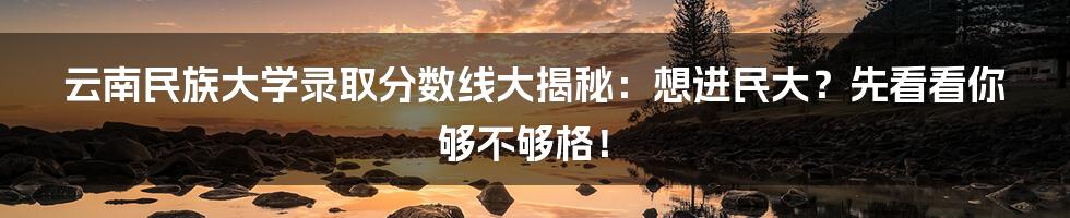 云南民族大学录取分数线大揭秘：想进民大？先看看你够不够格！