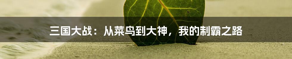 三国大战：从菜鸟到大神，我的制霸之路
