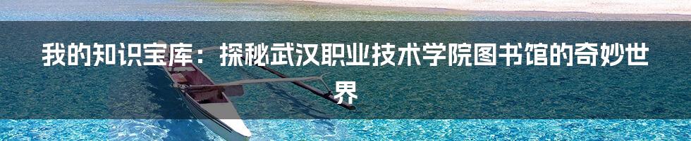 我的知识宝库：探秘武汉职业技术学院图书馆的奇妙世界