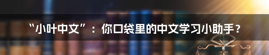 “小叶中文”：你口袋里的中文学习小助手？