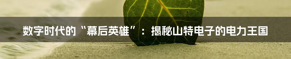 数字时代的“幕后英雄”：揭秘山特电子的电力王国
