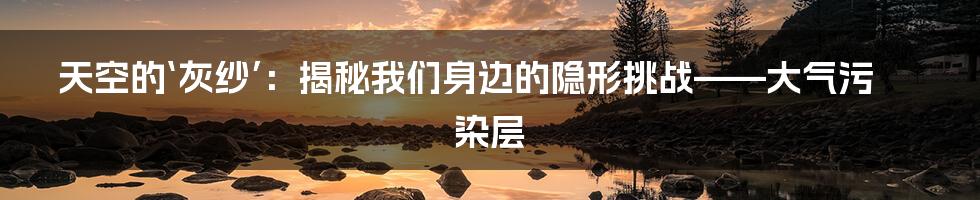 天空的‘灰纱’：揭秘我们身边的隐形挑战——大气污染层