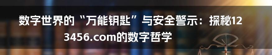 数字世界的“万能钥匙”与安全警示：探秘123456.com的数字哲学