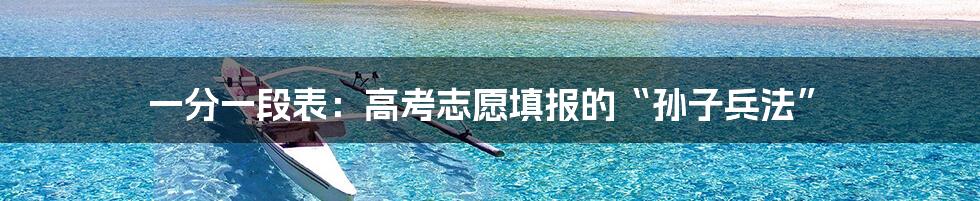 一分一段表：高考志愿填报的“孙子兵法”