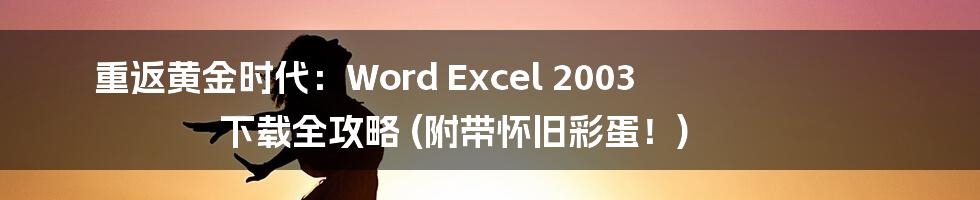 重返黄金时代：Word Excel 2003 下载全攻略 (附带怀旧彩蛋！)