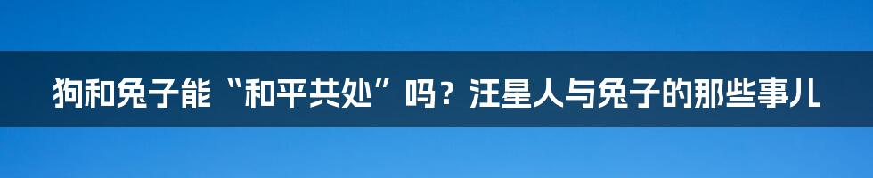 狗和兔子能“和平共处”吗？汪星人与兔子的那些事儿