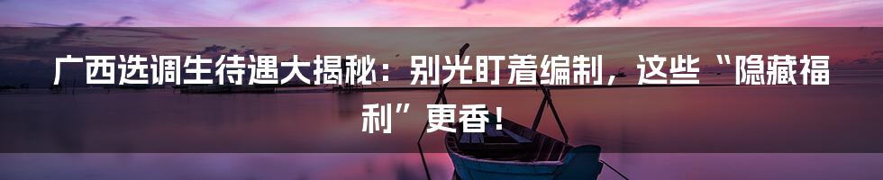 广西选调生待遇大揭秘：别光盯着编制，这些“隐藏福利”更香！