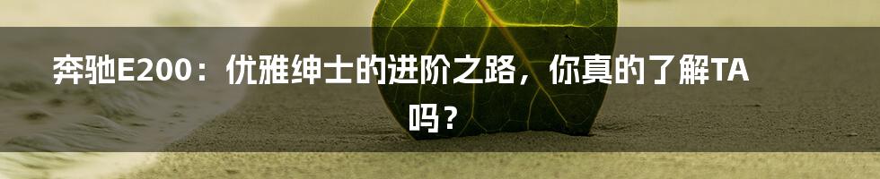奔驰E200：优雅绅士的进阶之路，你真的了解TA吗？