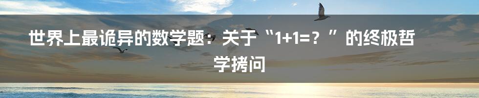 世界上最诡异的数学题：关于“1+1=？”的终极哲学拷问