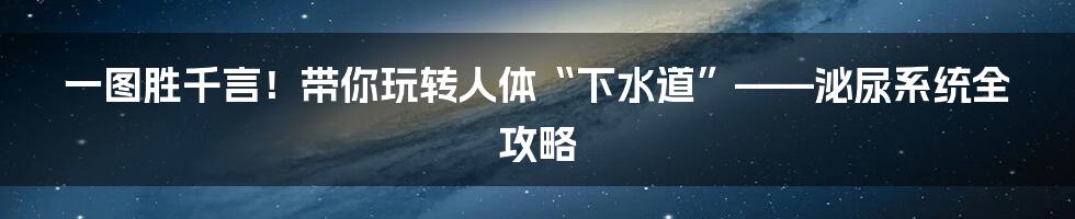 一图胜千言！带你玩转人体“下水道”——泌尿系统全攻略