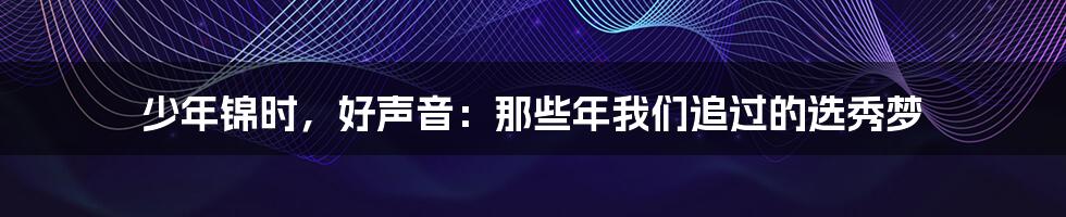 少年锦时，好声音：那些年我们追过的选秀梦