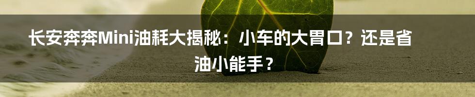 长安奔奔Mini油耗大揭秘：小车的大胃口？还是省油小能手？