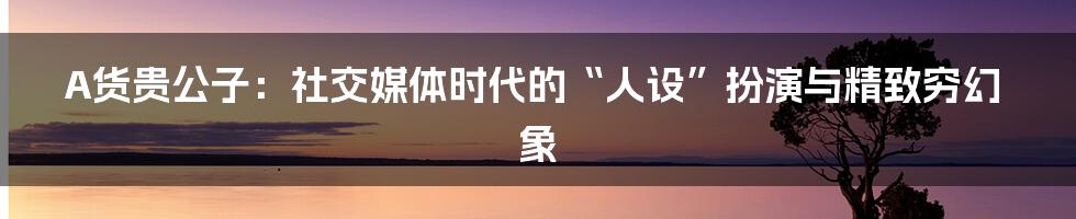 A货贵公子：社交媒体时代的“人设”扮演与精致穷幻象