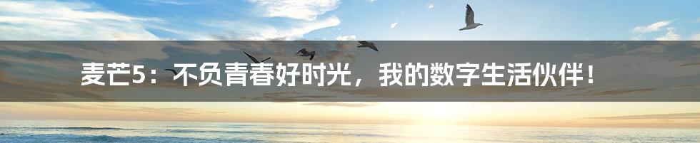 麦芒5：不负青春好时光，我的数字生活伙伴！