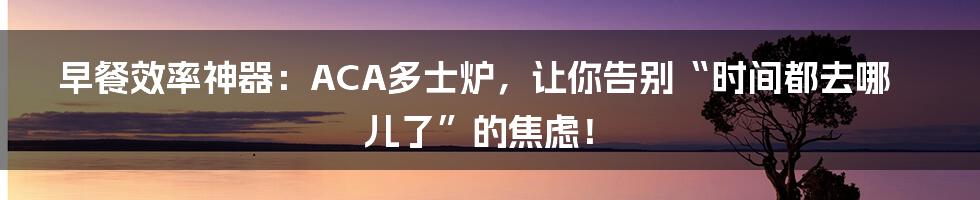 早餐效率神器：ACA多士炉，让你告别“时间都去哪儿了”的焦虑！