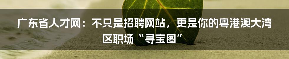 广东省人才网：不只是招聘网站，更是你的粤港澳大湾区职场“寻宝图”