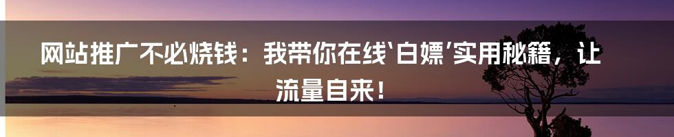网站推广不必烧钱：我带你在线‘白嫖’实用秘籍，让流量自来！