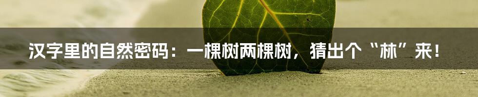 汉字里的自然密码：一棵树两棵树，猜出个“林”来！
