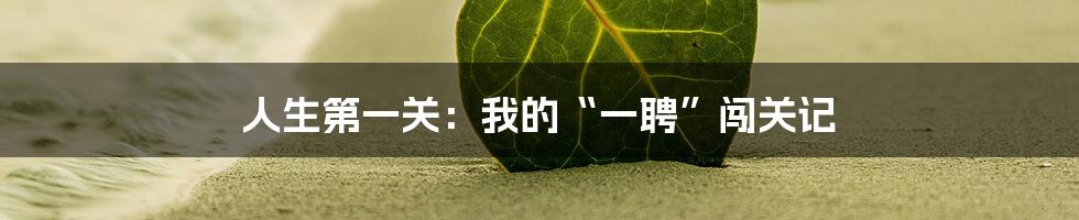 人生第一关：我的“一聘”闯关记